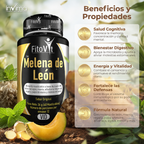 MELENA DE LEON X 60UNID FITOVIT