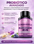 PROBIOTICOS X 60 CAPSULAS
